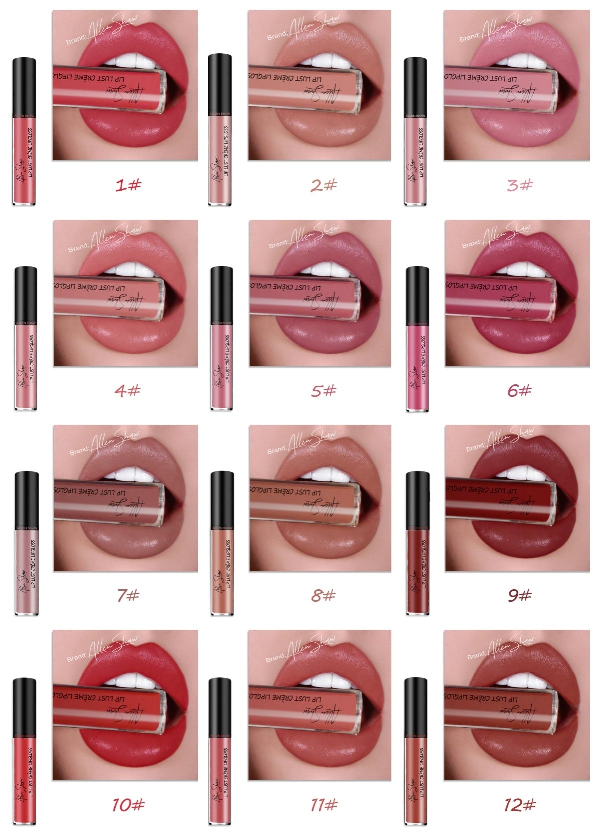 Silky Cream Lip Gloss Aliexpress Shopee Exclusive