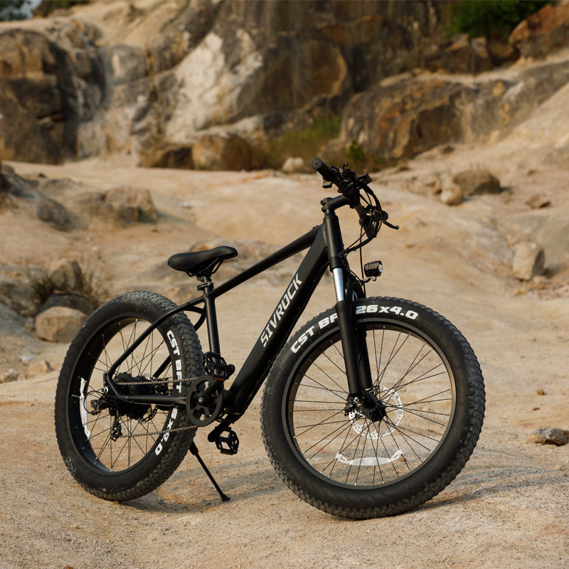 1000W Fat Tire Electric Bike for Adults - 26x4.0 Mountain E-Bike