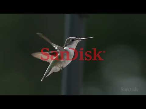 Sandisk Ultra Micro SD 128GB 32GB 64GB 256GB 400GB 512GB 1TB Micro SD Card SD/TF Flash Card Memory Card 128 gb microSD for Phone