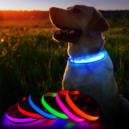 MASBRILL LED Dog Collar Luminous Pet Supplies Dog Collar Waterproof Safety Glow Necklace Flashing Lighting Up Collars Accessories