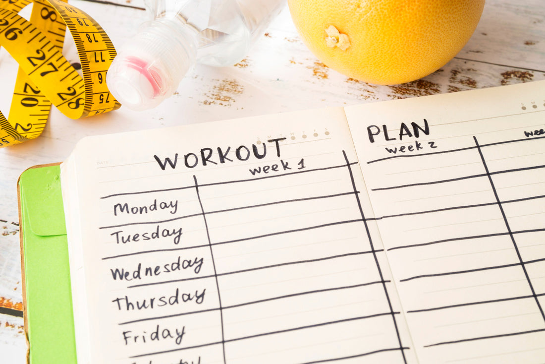 workout plan template with modern style