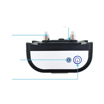 Two-in-one dog training device