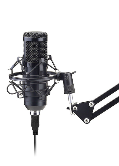 192KHz 24Bit High Sampling Rate Computer USB Microphone BM-800 Condenser Microphone