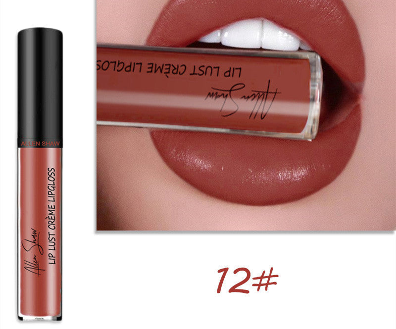 Silky Cream Lip Gloss Aliexpress Shopee Exclusive