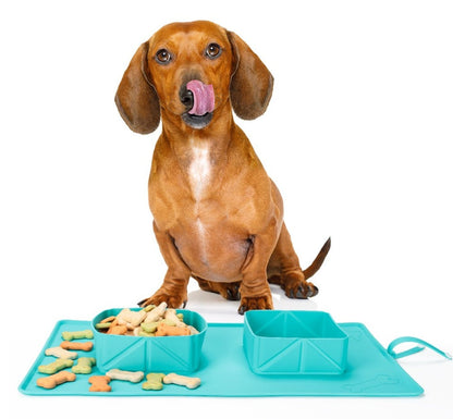 Dogs Puppy Bowls  Silicone Bowls