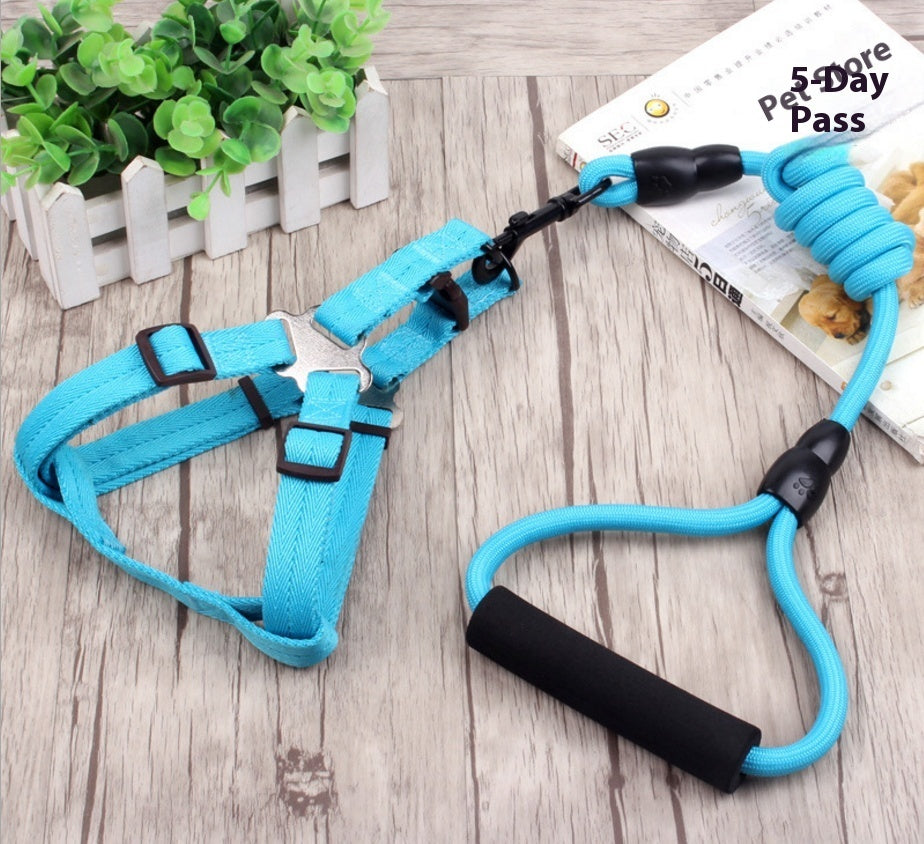 dog chain, dog collar, pet harness rope