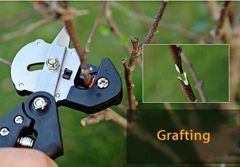 Professional Garden Grafting Tool Kit – Pruning Shears with Grafting Tape & Accessories