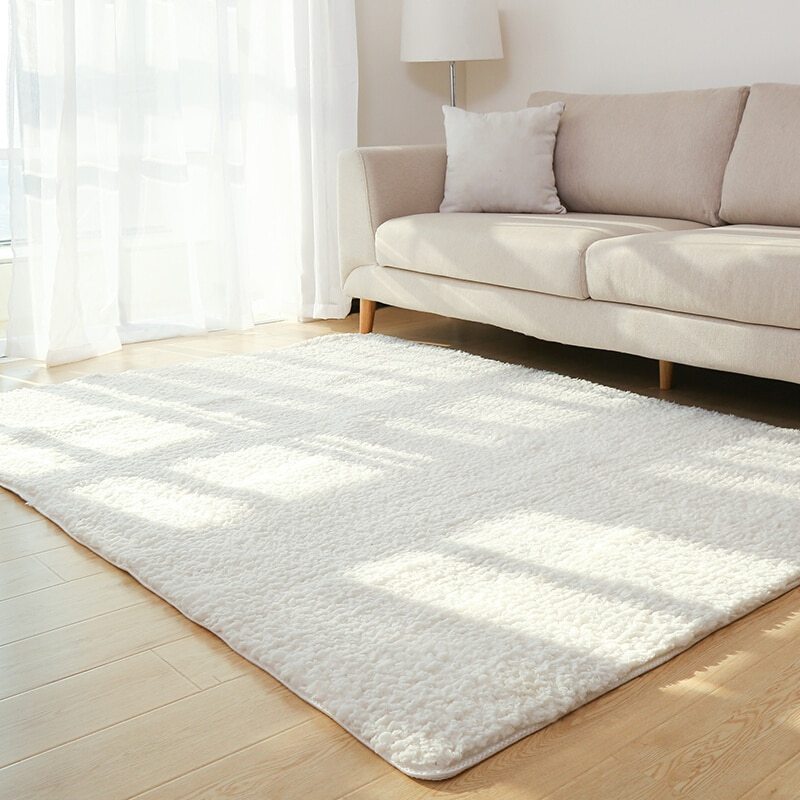 Fluffy White Plush Carpet