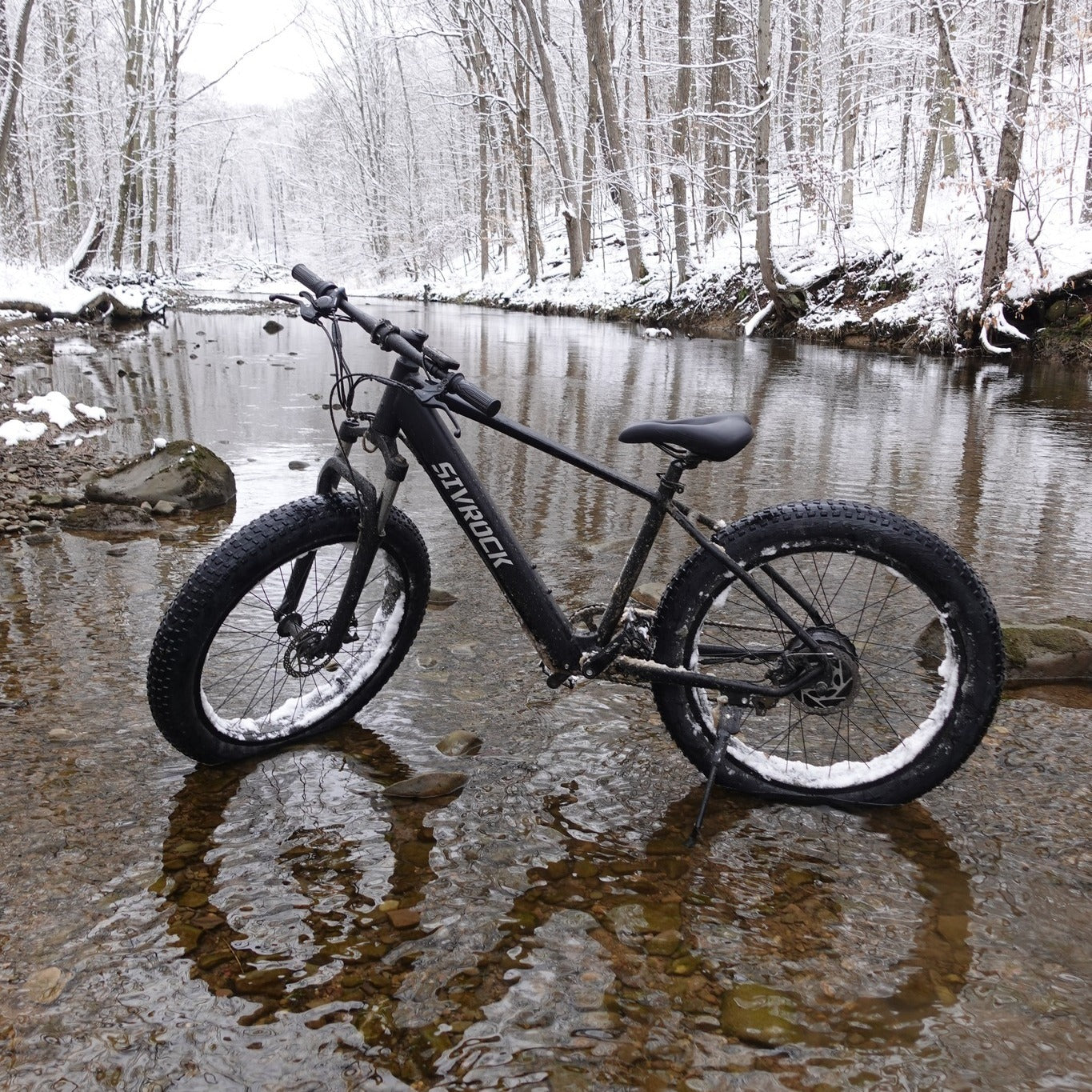 1000W Fat Tire Electric Bike for Adults - 26x4.0 Mountain E-Bike