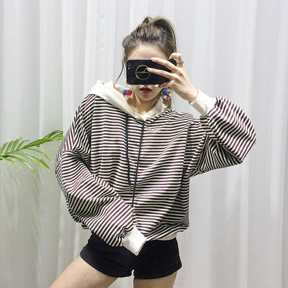 Dog Terry Sweater Teddy Small Dog Fashion Brand Clothes
