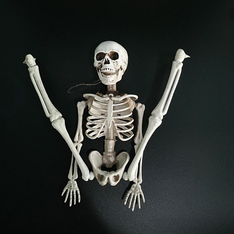 Halloween skeleton skeleton