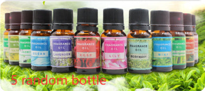 Plant aromatherapy essential oil