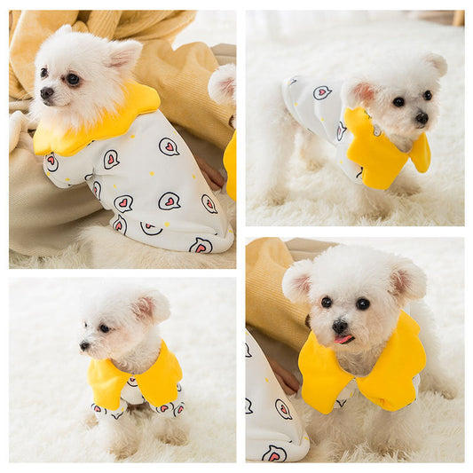 Cat pet clothes