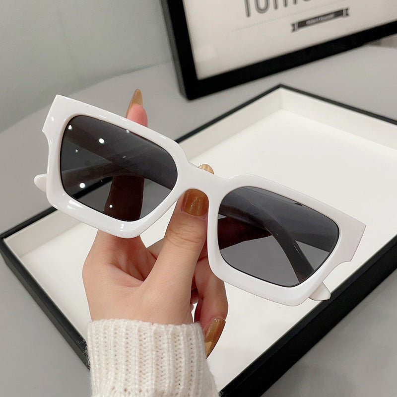 Large-frame UV-protective Sunglasses For Bright Light