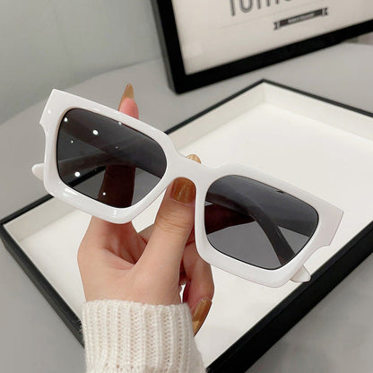 Large-frame UV-protective Sunglasses For Bright Light