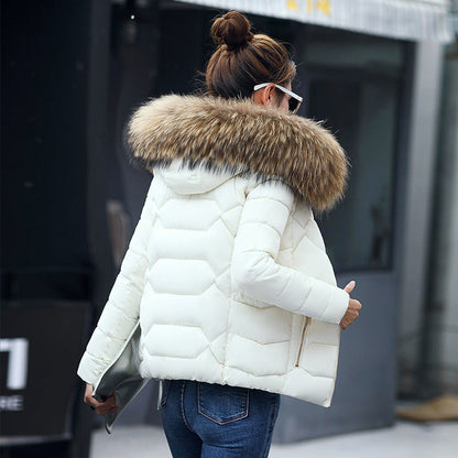 Short Slim Fit Women's Clothing Large Fur Collar Down Jacket