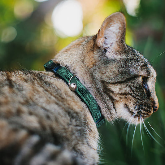 Cat Collar Breakaway - Cali License Plates Stacked