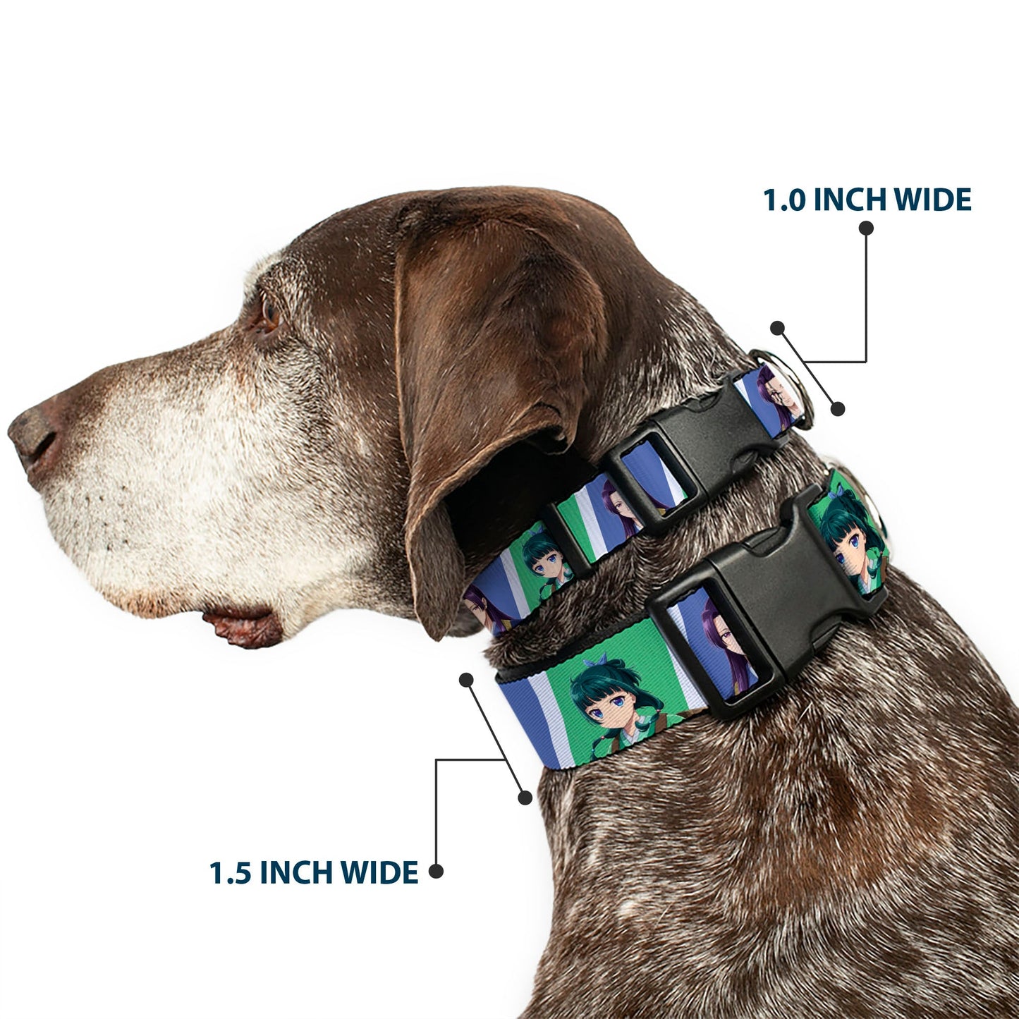 Plastic Clip Collar - The Apothecary Diaries Jinshi and Maomao Pose Blocks White/Blue/Green