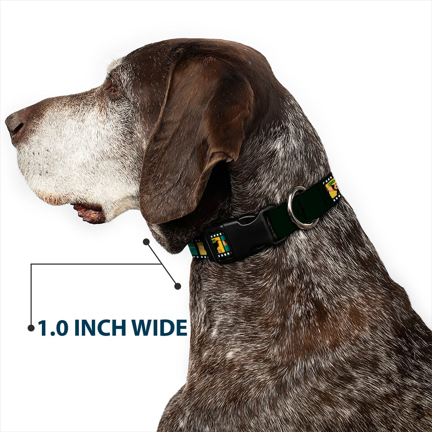 Plastic Clip Collar - Gremlins GIZMO Film Strip Pose Blocks