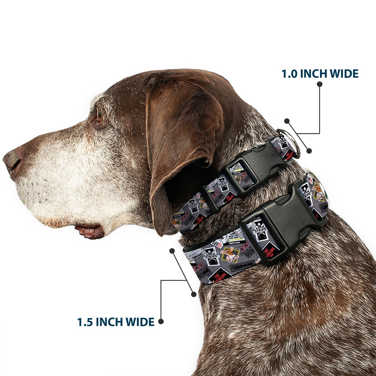 Plastic Clip Collar - Gremlins Gizmo Pose and Rules Collage Gray