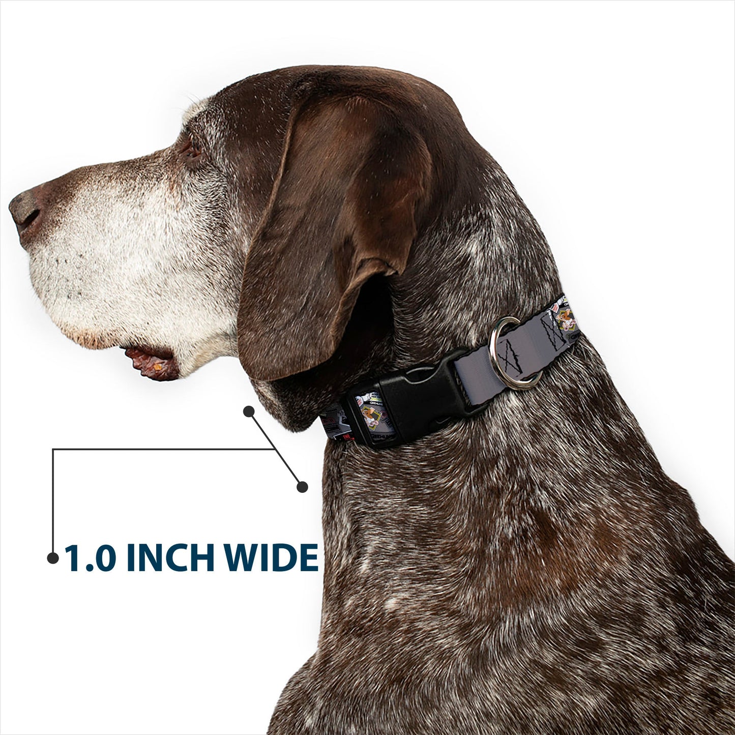 Plastic Clip Collar - Gremlins Gizmo Pose and Rules Collage Gray