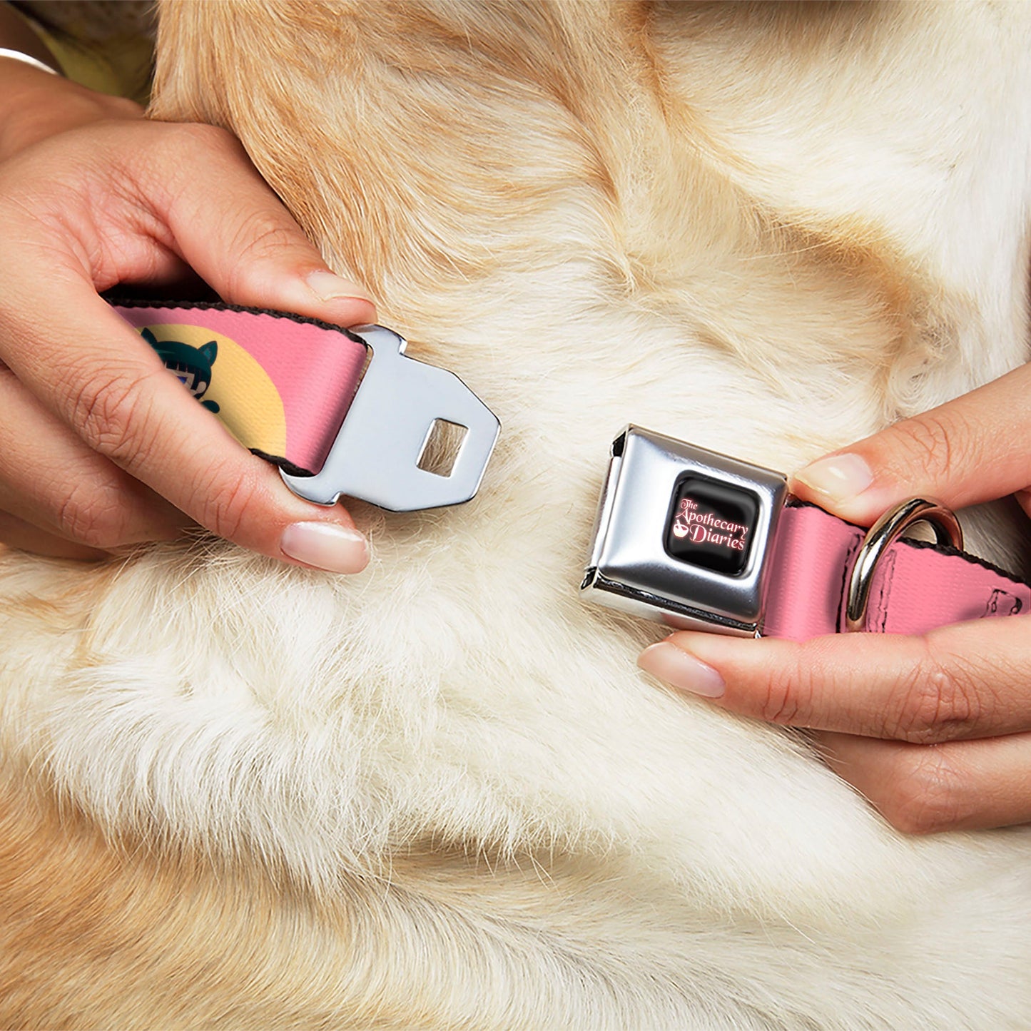 THE APOTHECARY DIARIES Title Logo Full Color Black/Red/White Seatbelt Buckle Collar - The Apothecary Diaries Chibi Maomao Cat Pose Pink/Yellow