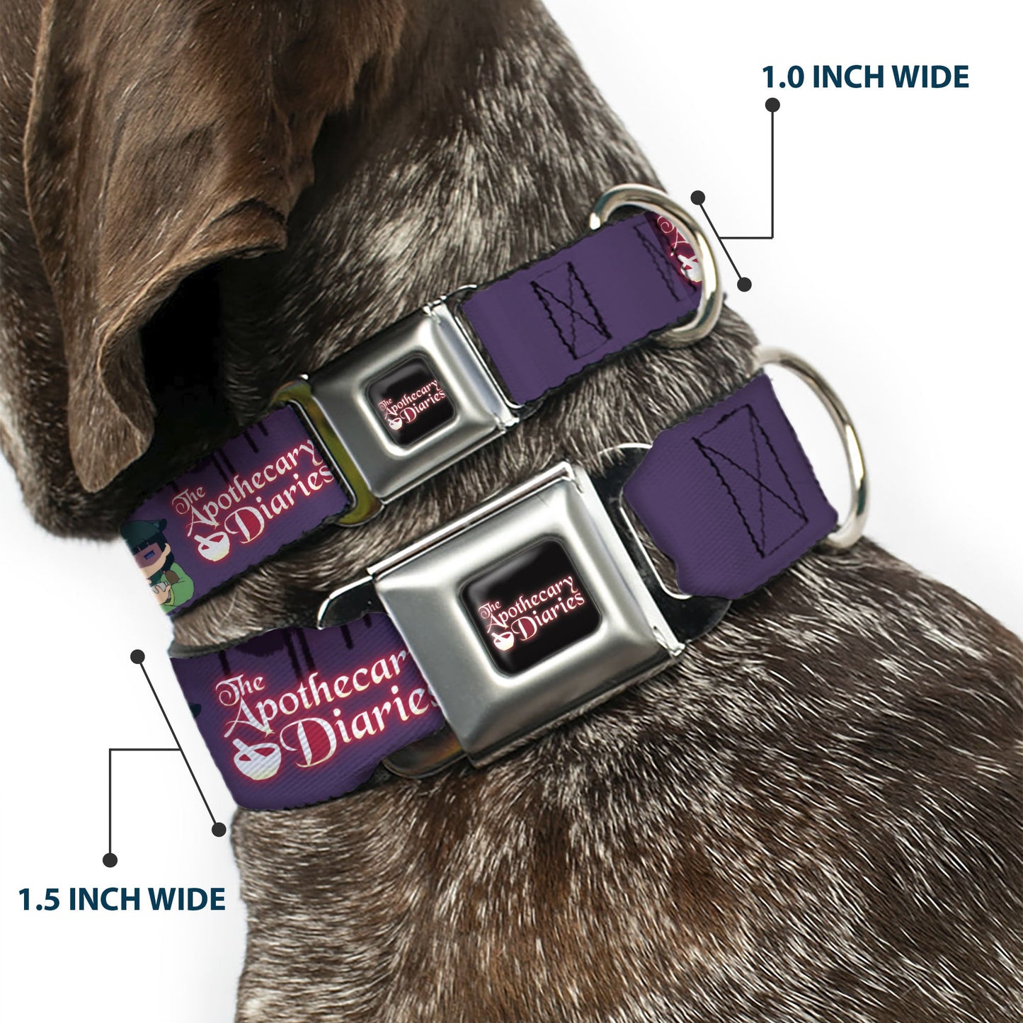 THE APOTHECARY DIARIES Title Logo Full Color Black/Red/White Seatbelt Buckle Collar - THE APOTHECARY DIARIES Chibi Maomao Pose and Title Logo Purple