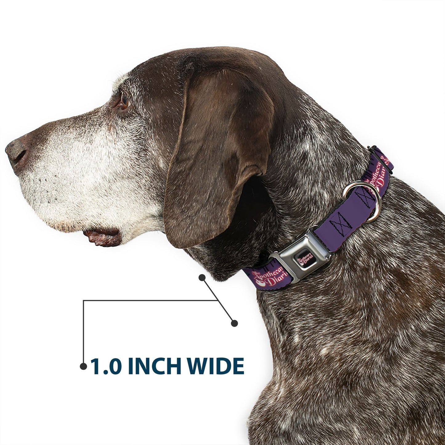 THE APOTHECARY DIARIES Title Logo Full Color Black/Red/White Seatbelt Buckle Collar - THE APOTHECARY DIARIES Chibi Maomao Pose and Title Logo Purple