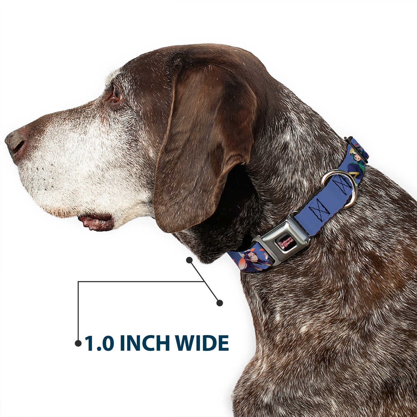 THE APOTHECARY DIARIES Title Logo Full Color Black/Red/White Seatbelt Buckle Collar - THE APOTHECARY DIARIES Jinshi and Maomao Pose and Title Logo Purple