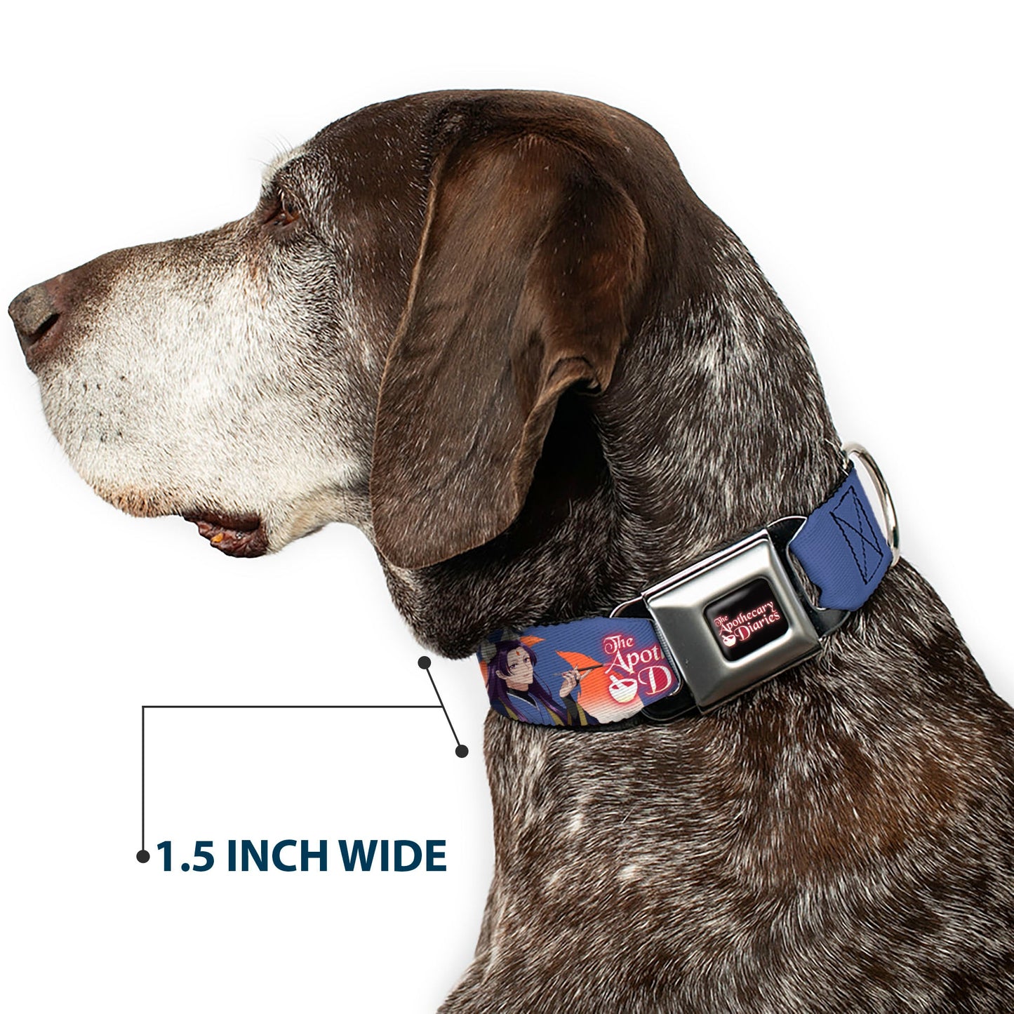 THE APOTHECARY DIARIES Title Logo Full Color Black/Red/White Seatbelt Buckle Collar - THE APOTHECARY DIARIES Jinshi and Maomao Pose and Title Logo Purple