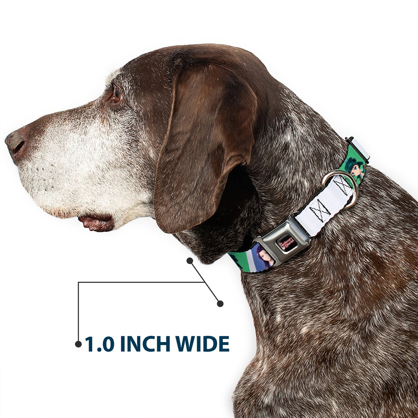THE APOTHECARY DIARIES Title Logo Full Color Black/Red/White Seatbelt Buckle Collar - The Apothecary Diaries Jinshi and Maomao Pose Blocks White/Blue/Green