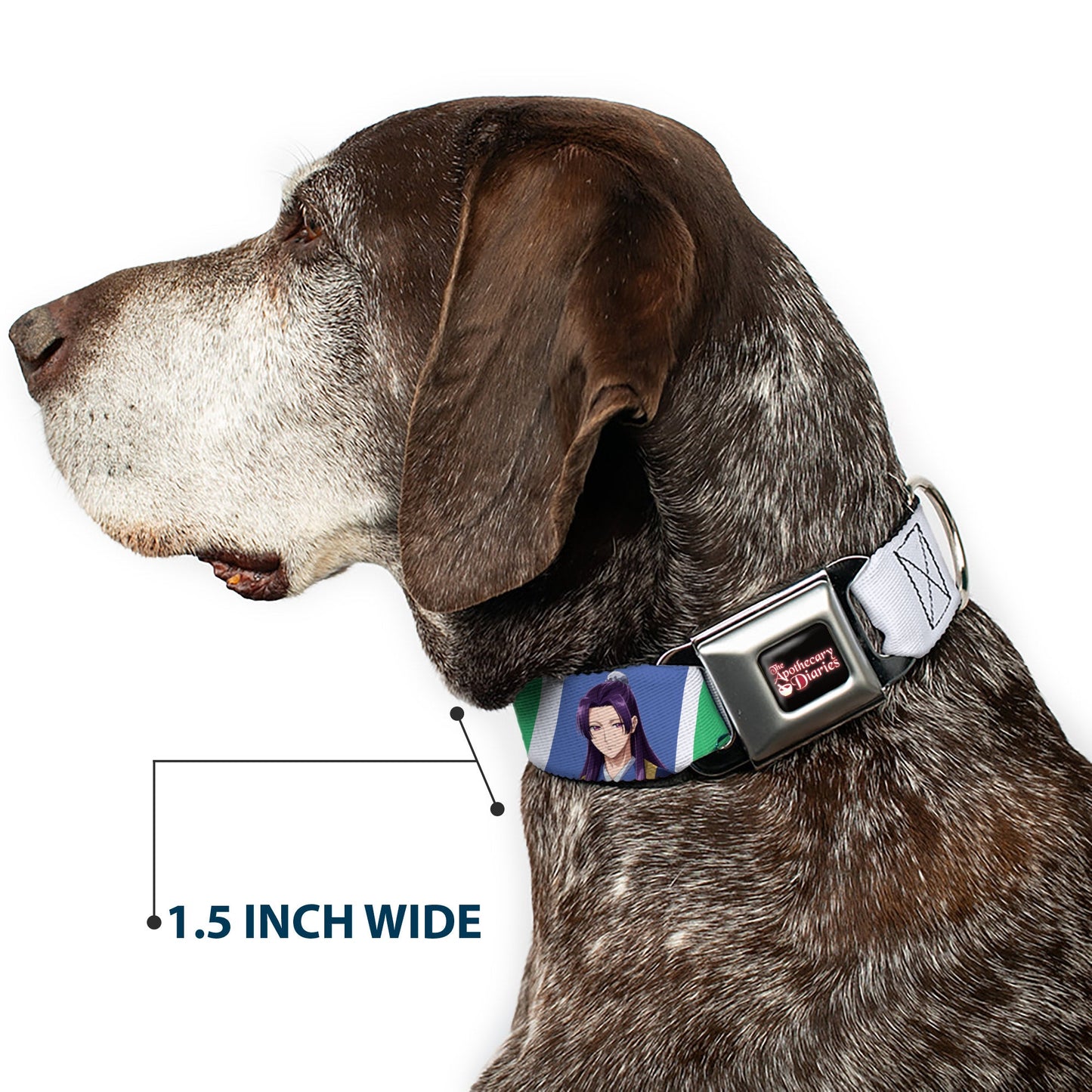 THE APOTHECARY DIARIES Title Logo Full Color Black/Red/White Seatbelt Buckle Collar - The Apothecary Diaries Jinshi and Maomao Pose Blocks White/Blue/Green