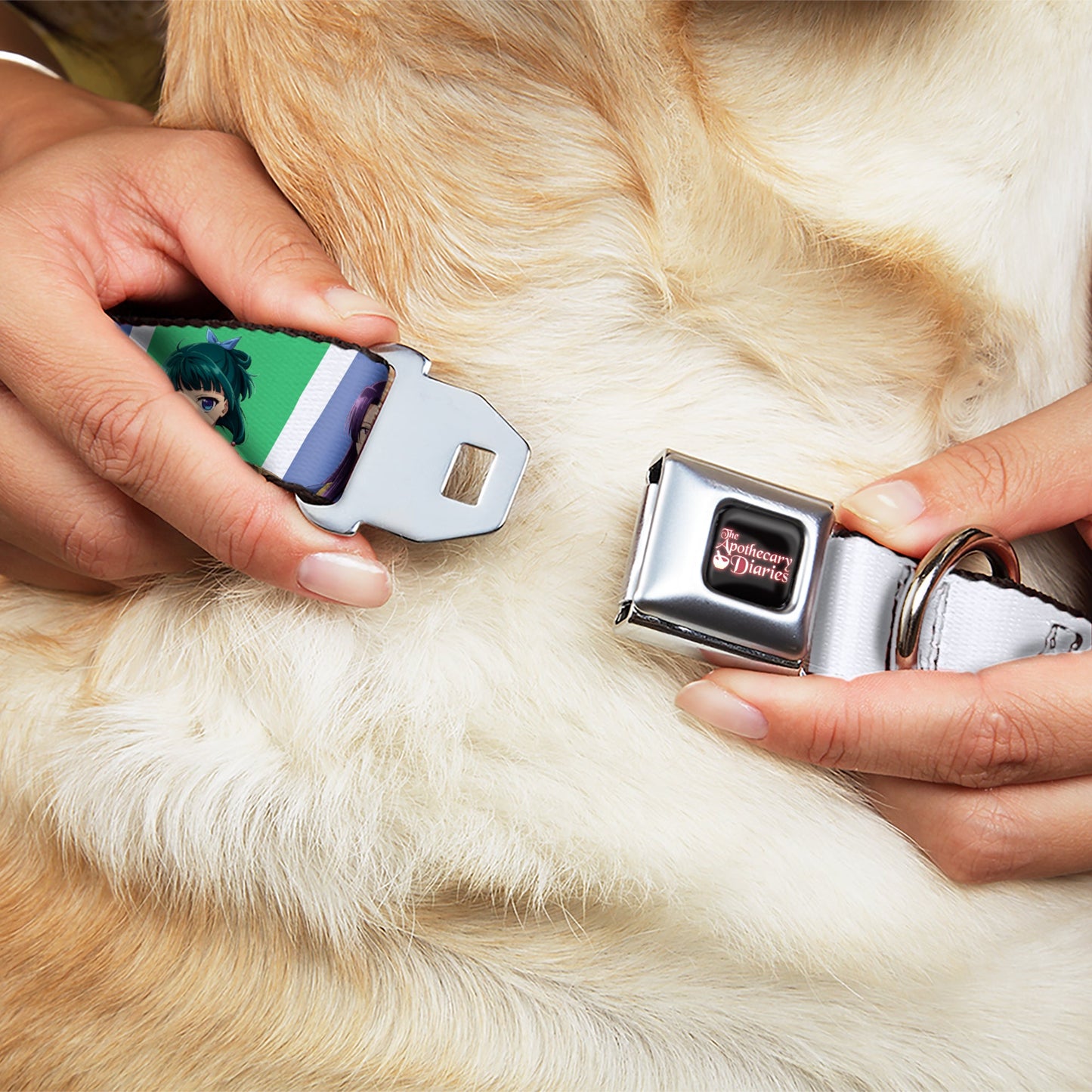 THE APOTHECARY DIARIES Title Logo Full Color Black/Red/White Seatbelt Buckle Collar - The Apothecary Diaries Jinshi and Maomao Pose Blocks White/Blue/Green