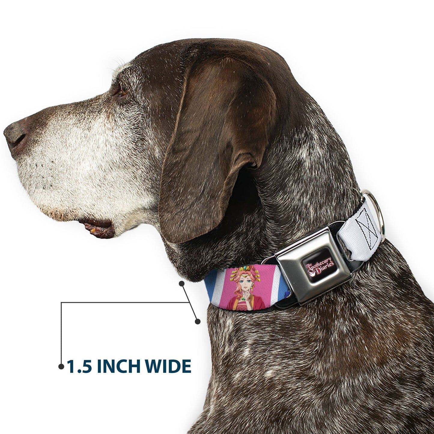 THE APOTHECARY DIARIES Title Logo Full Color Black/Red/White Seatbelt Buckle Collar - The Apothecary Diaries Gyokuyo and Lihua Pose Blocks White/Pink/Blue