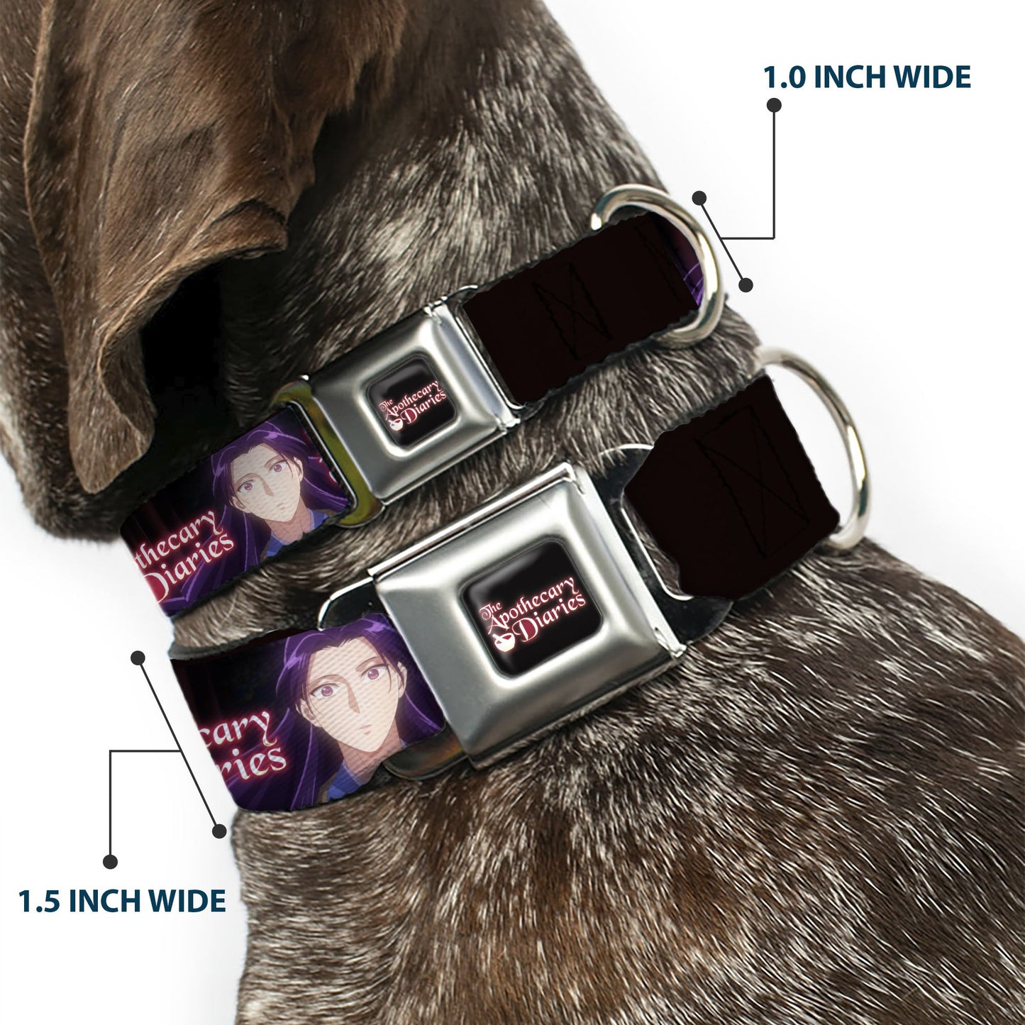 THE APOTHECARY DIARIES Title Logo Full Color Black/Red/White Seatbelt Buckle Collar - THE APOTHECARY DIARIES Jinshi Pose and Title Logo Black