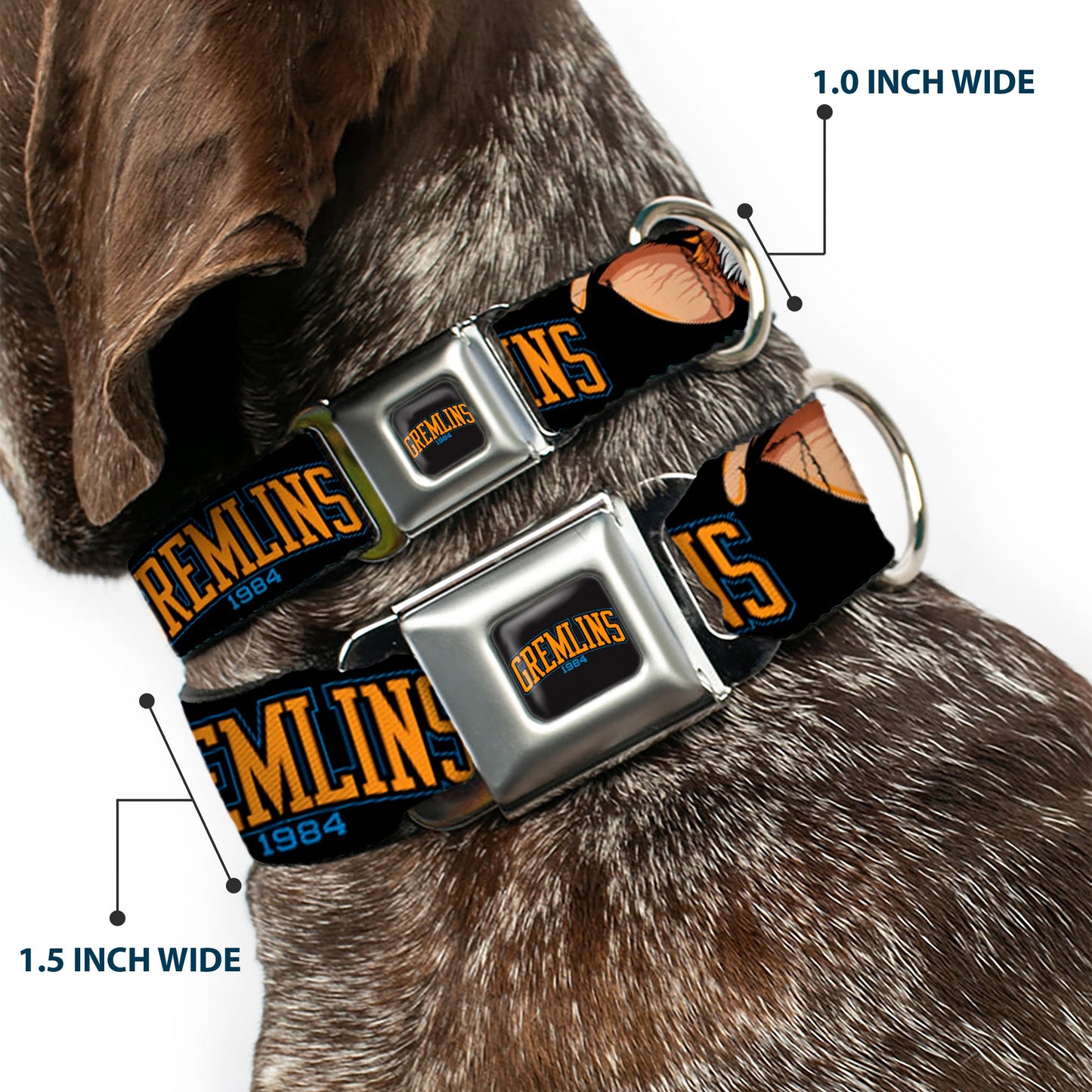 GREMLINS 1984 Title Logo Full Color Black/Blue/Orange Seatbelt Buckle Collar - GREMLINS 1984 Gizmo Face Close-Up Black