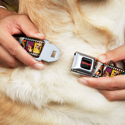 GREMLINS Text Logo Full Color Black/Red Seatbelt Buckle Collar - Gremlins Gizmo Filmstrip Poses Multi Color