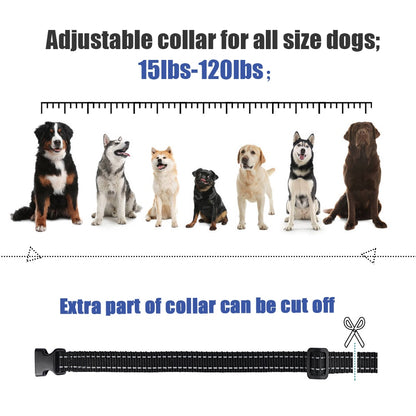 MASBRILL 800m Electric Dog Training Collar Light IP7 Waterproof Pet Remote Control  With Shock Vibration Sound Function Collars
