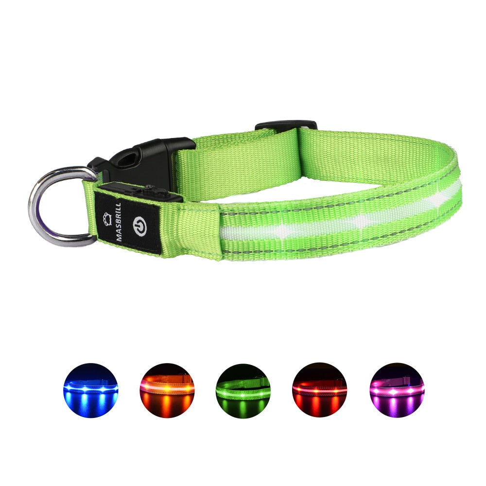 MASBRILL USB Rechargeable Pet Dog LED Glowing Collar Luminous Flashing Necklace Collar Outdoor Walking Night Safety Supplies