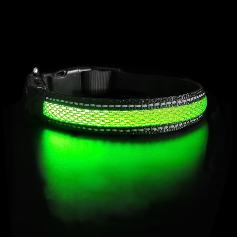 MASBRILL LED Dog Collar Luminous Pet Products Safety Stylish Flashing Glow Necklace Waterproof Reflective Pet Dog Accessories