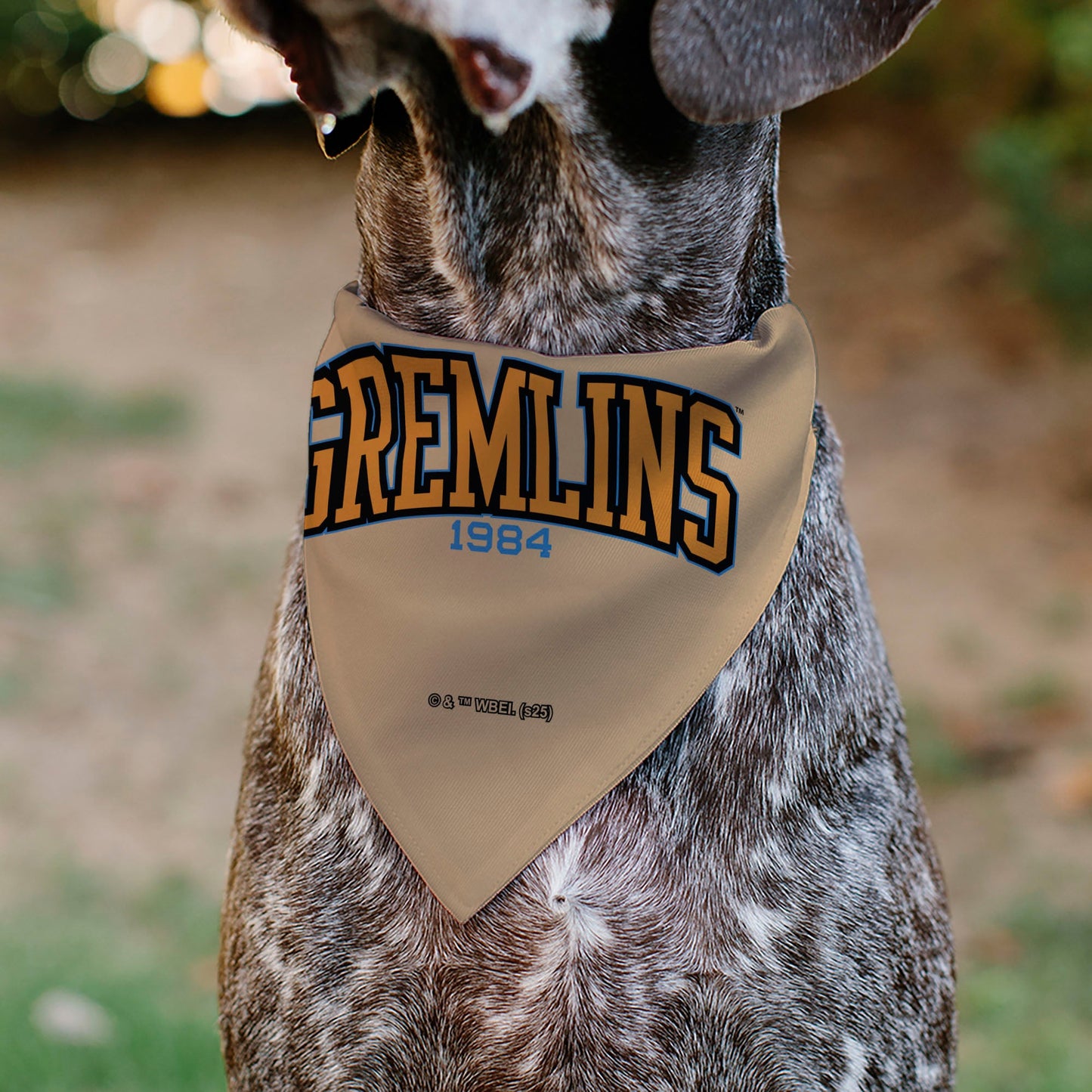 Pet Bandana - Gizmo Face and GREMLINS 1984 Varsity Text Beige/Blue/Yellow