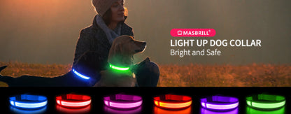 MASBRILL LED Dog Collar Luminous Pet Supplies Dog Collar Waterproof Safety Glow Necklace Flashing Lighting Up Collars Accessories