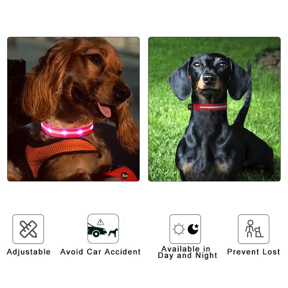 MASBRILL Dog Collar Rechargeable LED Dog Collar 100% Waterproof Flashing Lights with USB Outdoor Walking Night Safety Supplies