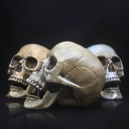 Skull Decor Prop Skeleton Head Plastic  Model Halloween