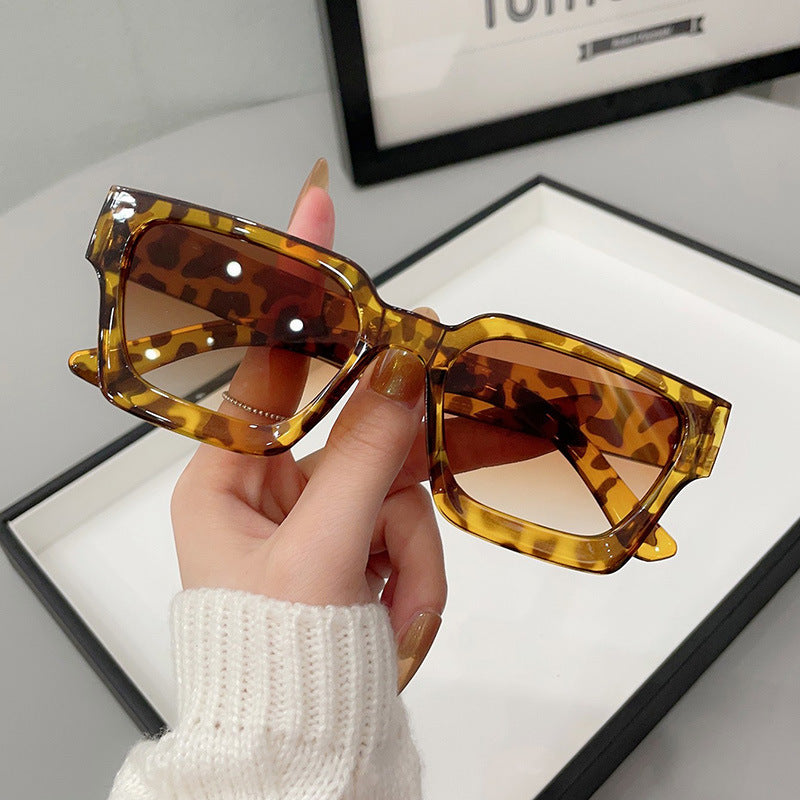 Large-frame UV-protective Sunglasses For Bright Light
