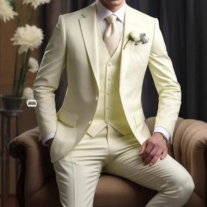 Elegant Business Banquet Suit Set For Men